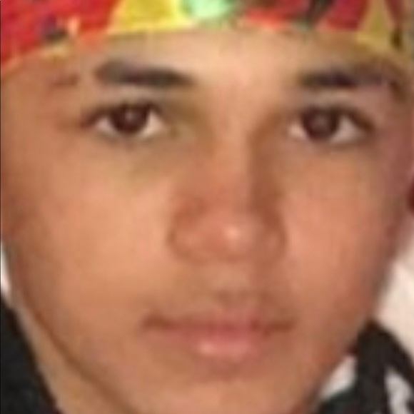 Meet your Posher, Riley - Picture 1 of 1